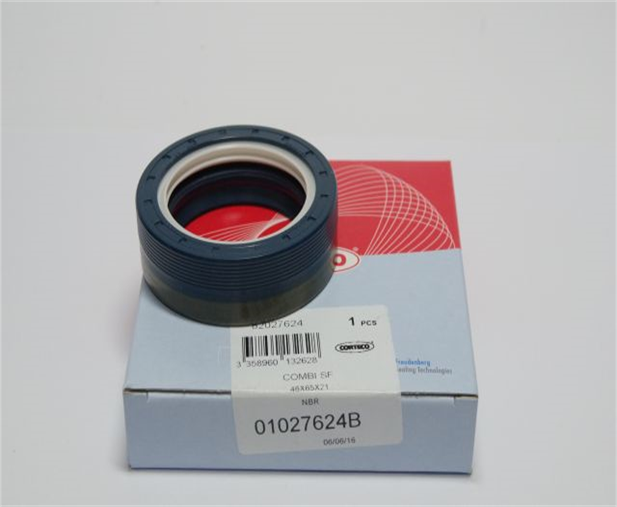 46*65*21 COMBI SF B1BA NBR