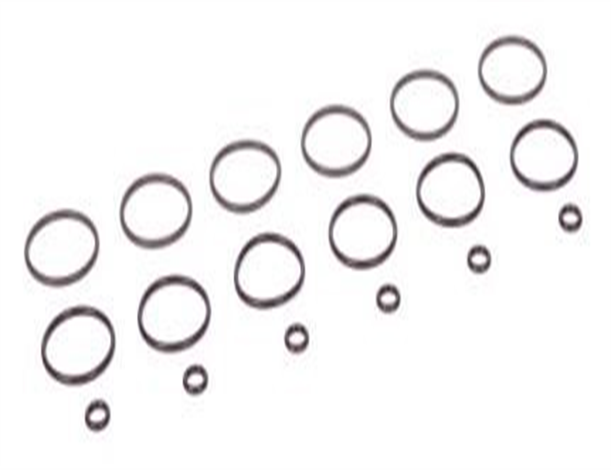 ENJEKSİYON POMPA ORİNG TAKIM ( FULL )