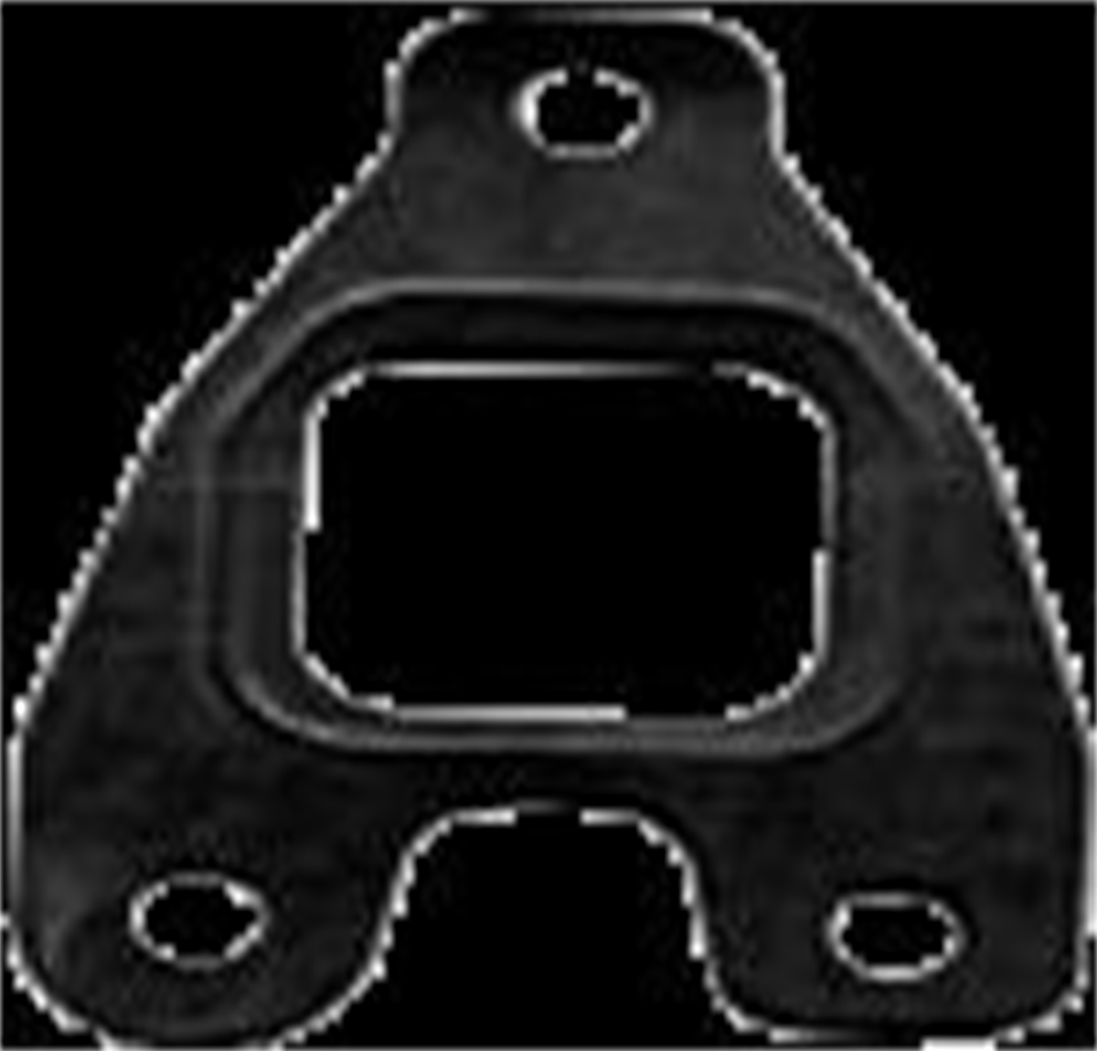 EGZOST MANİFOLT CONTA