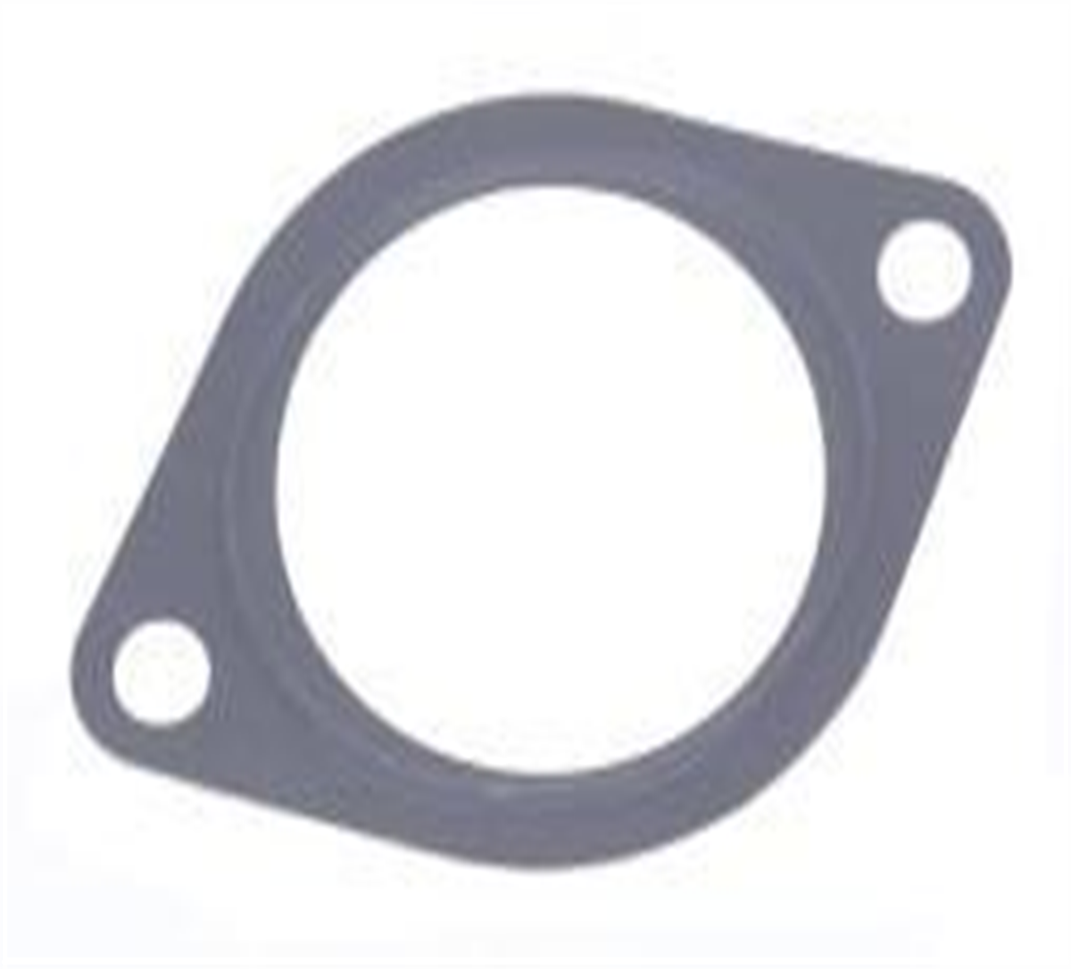 EGZOST MANIFOLD CONTA