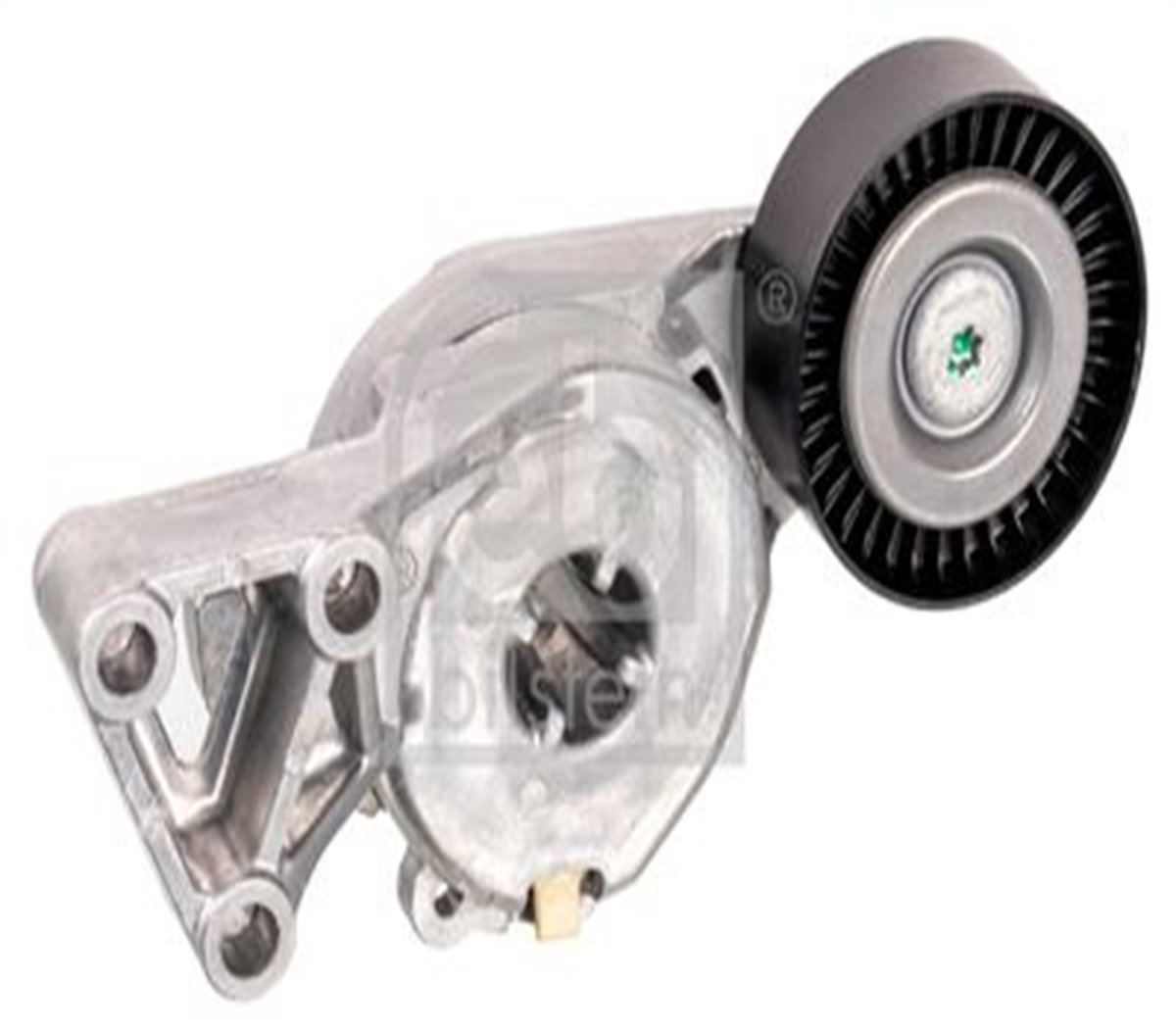 V KAYIŞ GERGİ KÜTÜĞÜ