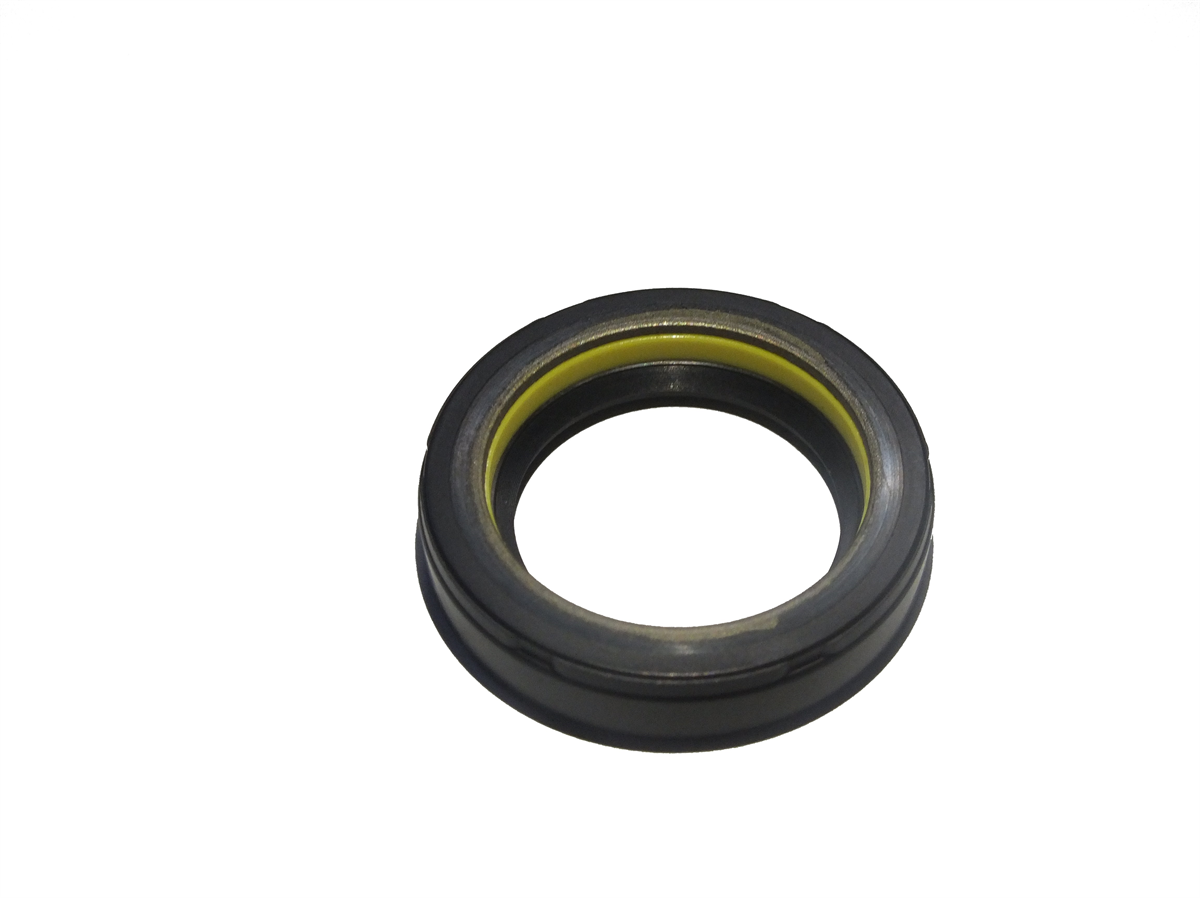 27,7*46*8 CNB NBR GİZLİ TEFLON SARI